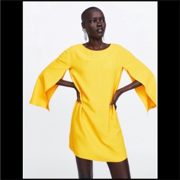 Zara Dresses & Skirts - NWOT Zara Cape Sleeved Sheath Dress